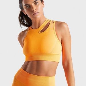 Gymshark Ultra Seamless Sports Bra